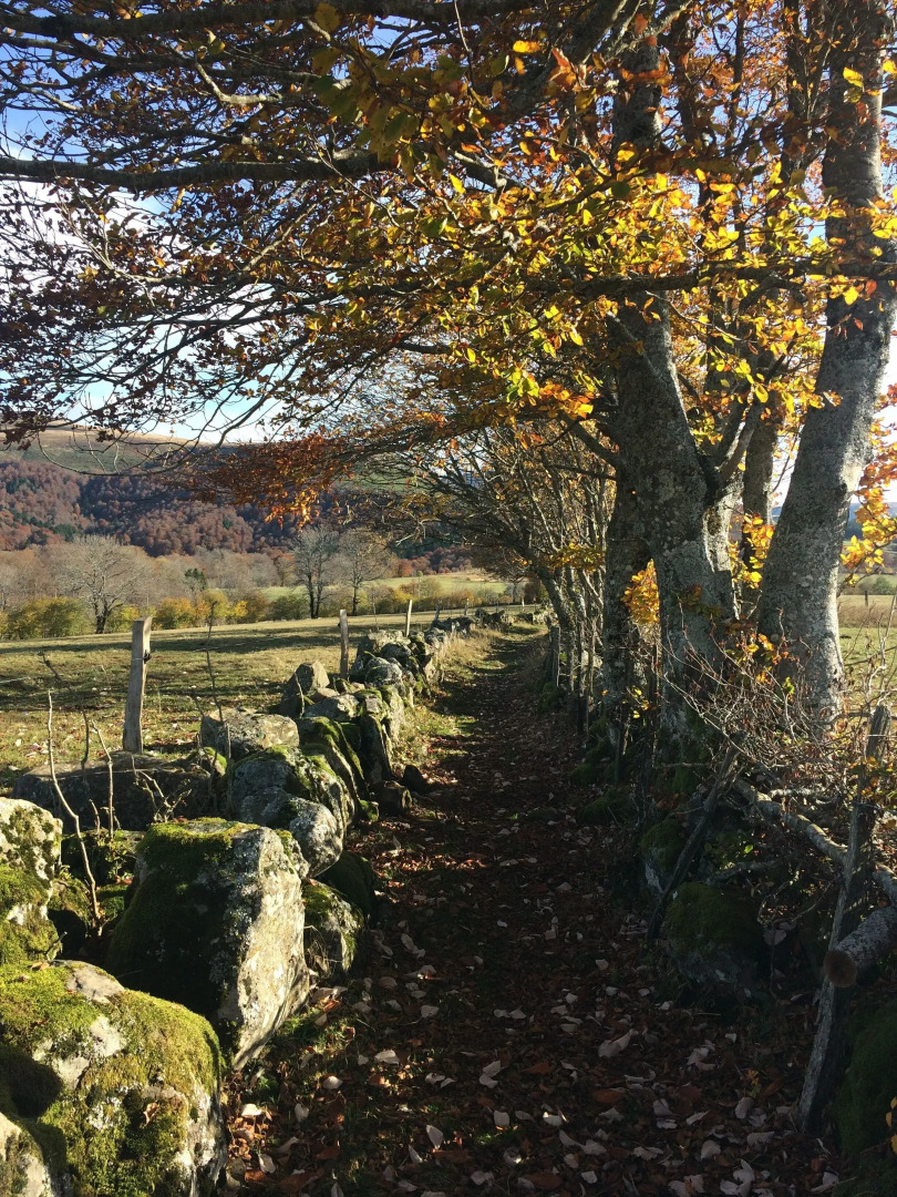 Terre d'Horizon Auvergne