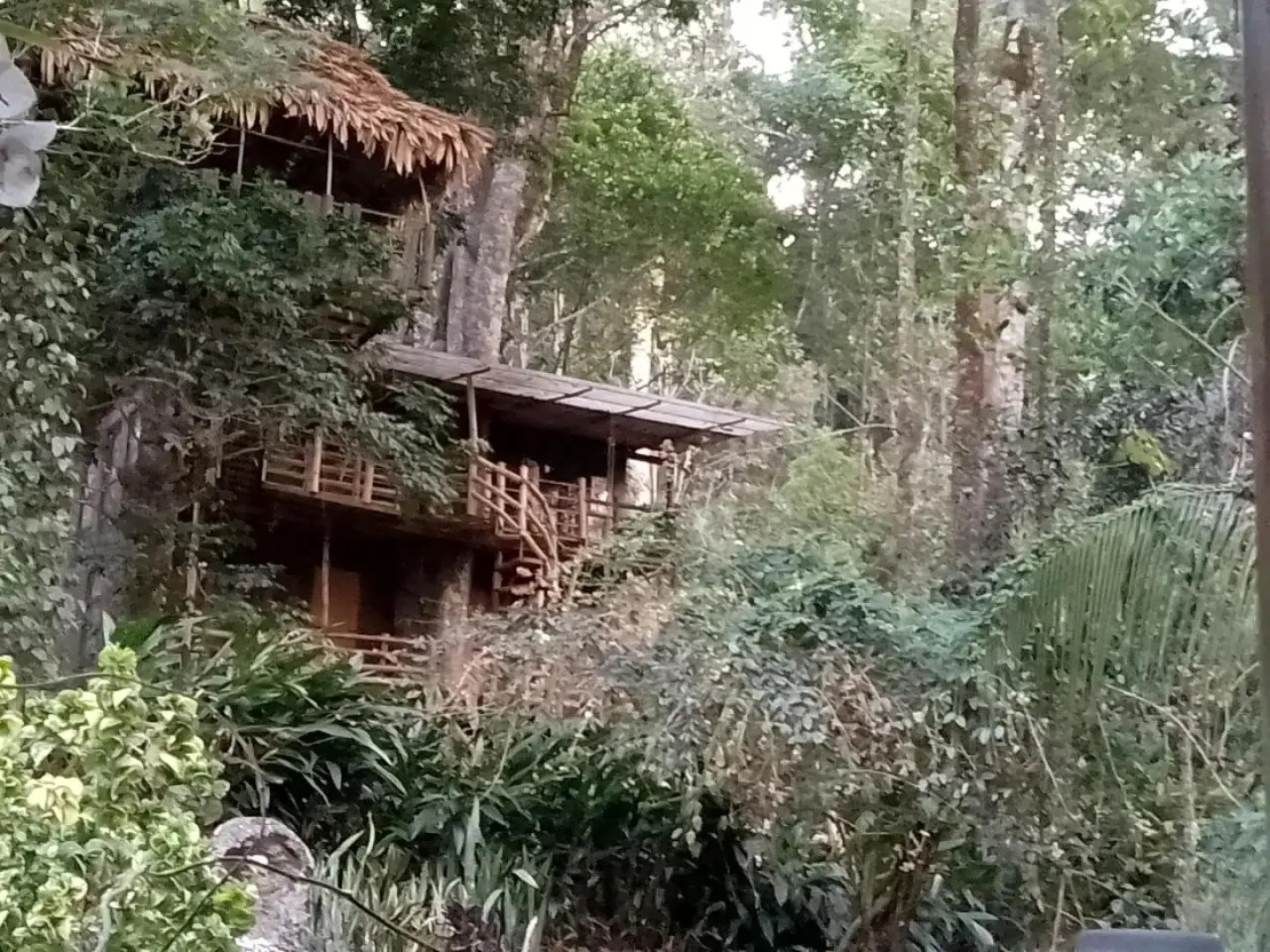 Jungle Jive Tree House Munnar