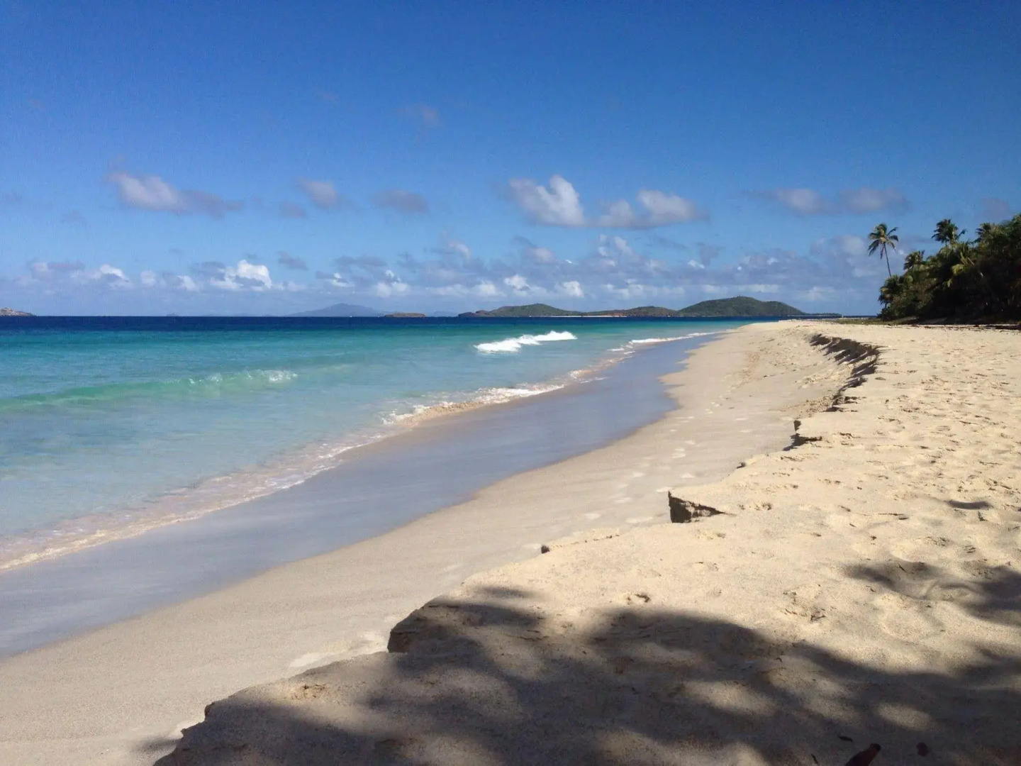 Dolphin Tower Apartment