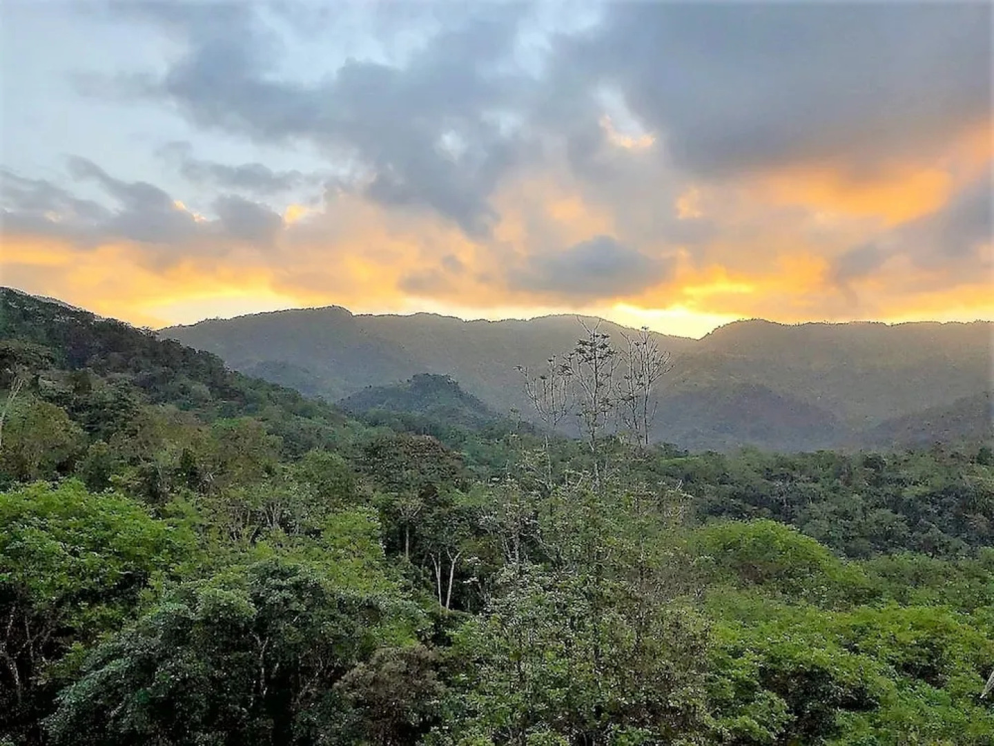 Nature's Edge Boutique Hotel