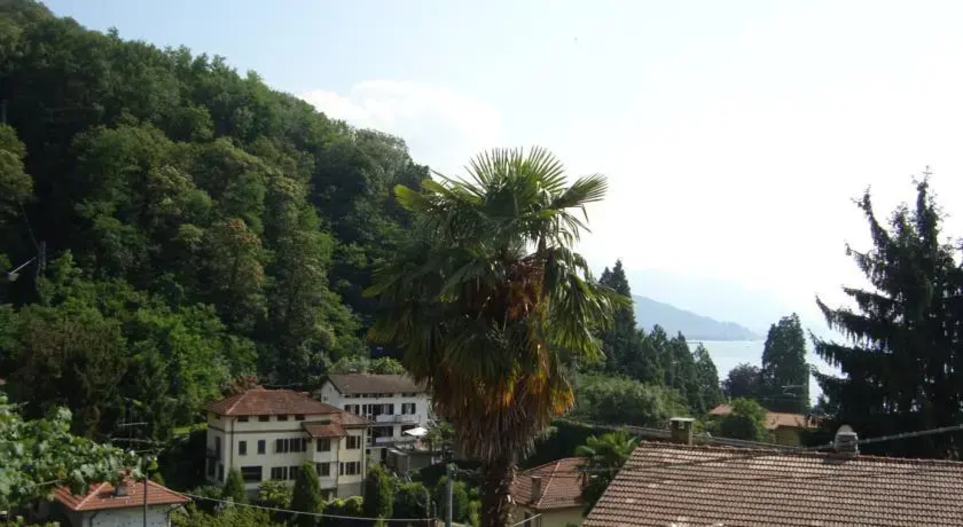 La Colmegnina