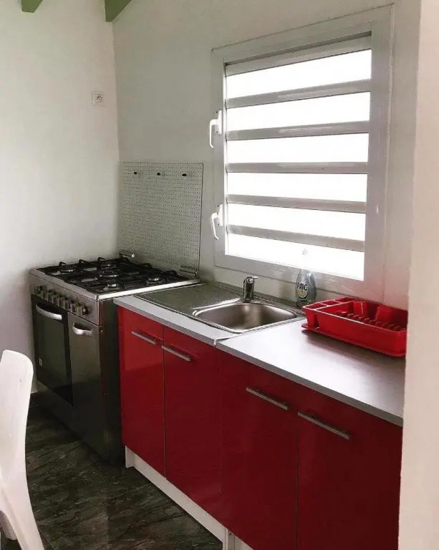 Tropic Arth Paradise