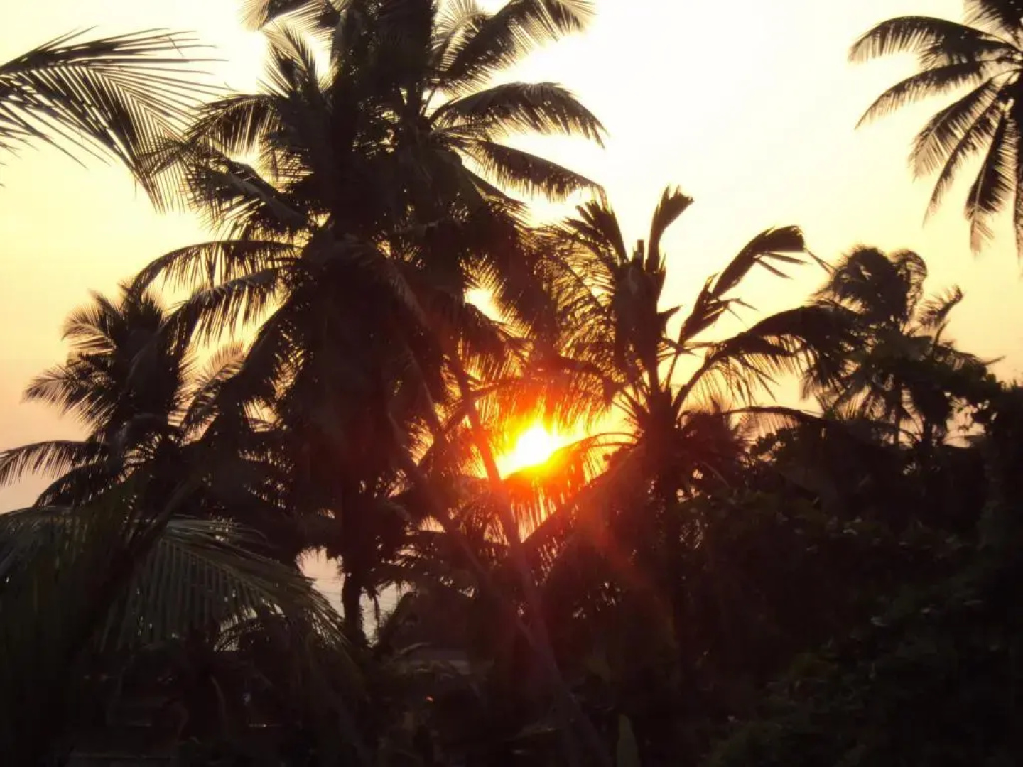 Angel Villa - Exotic Holidays in Private Villa Near Beach
