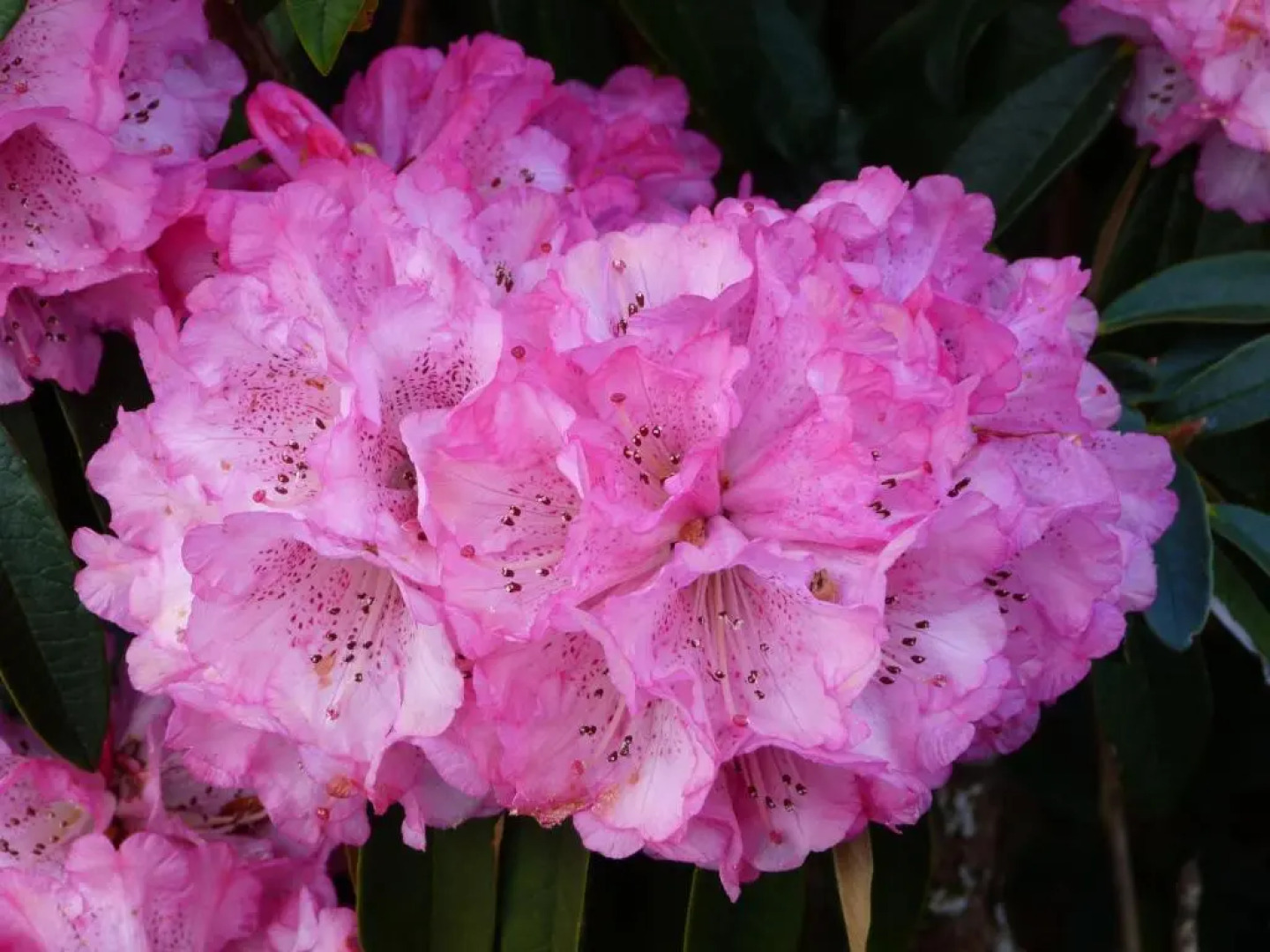 The Steading at Barmore