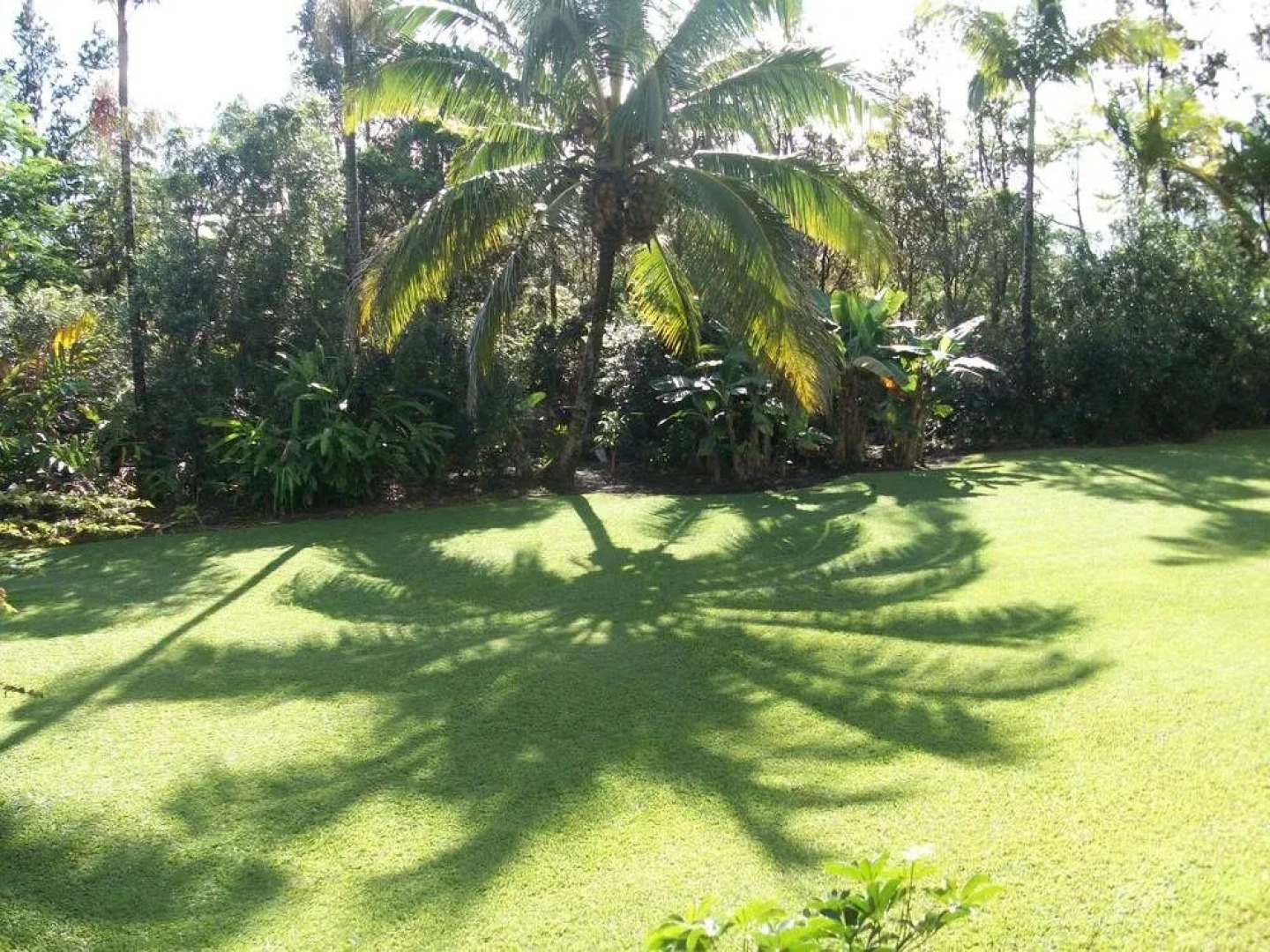 Hale Moana Bed & Breakfast