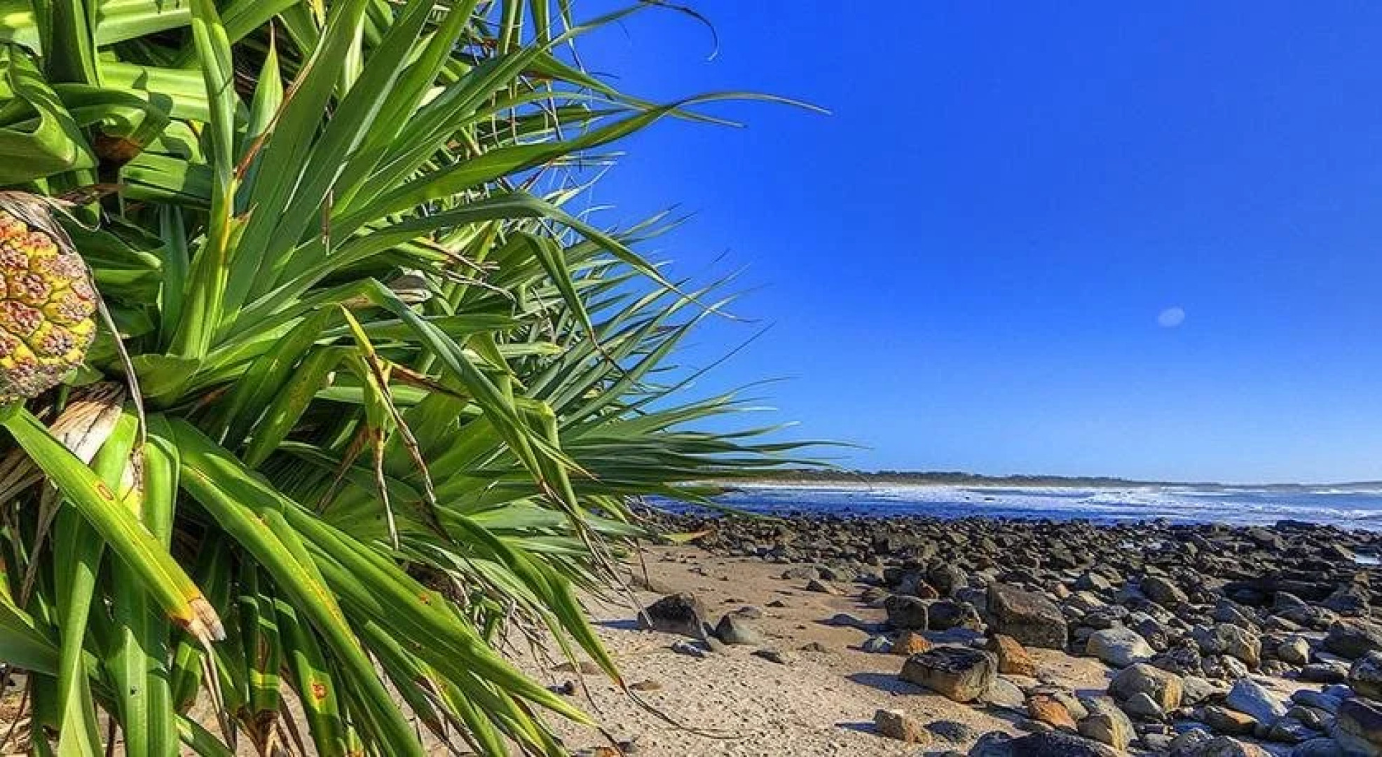 Anchorage Holiday Park - Iluka