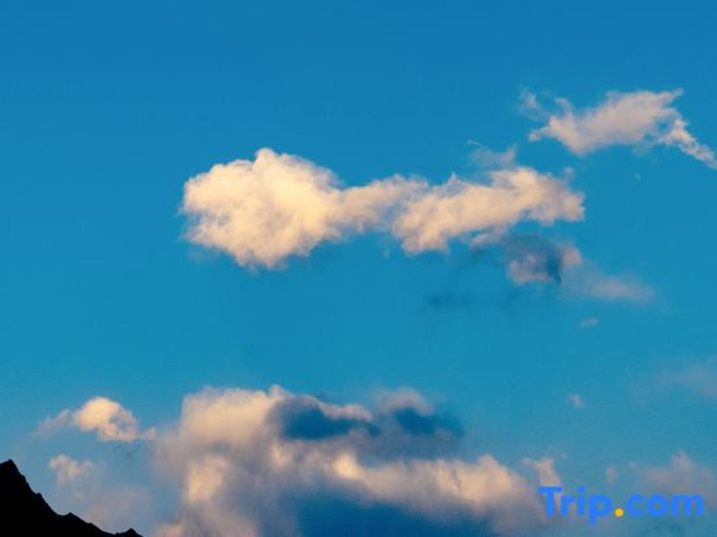 Yongze Lakeside International Hotel