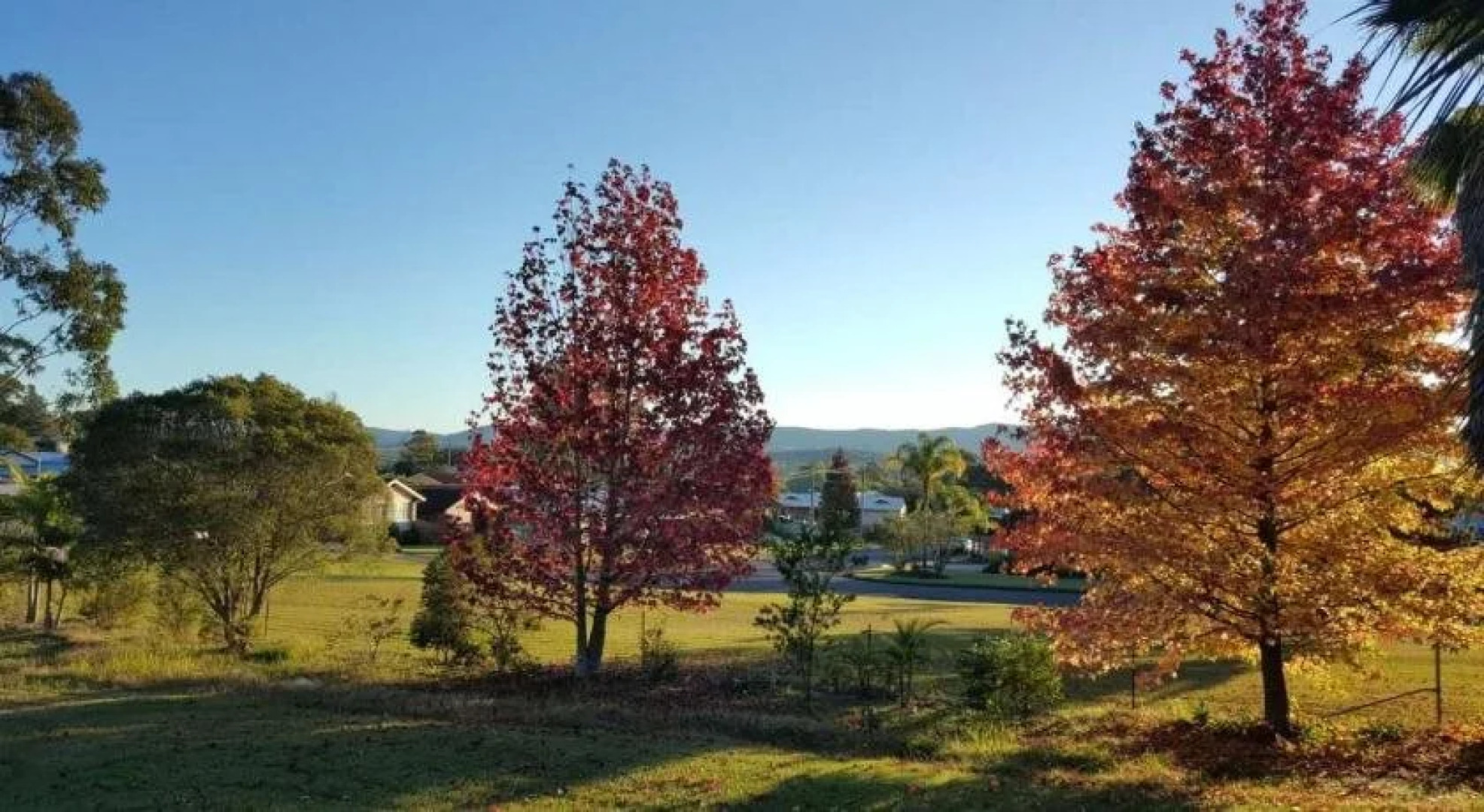 Bulahdelah Myall Motel