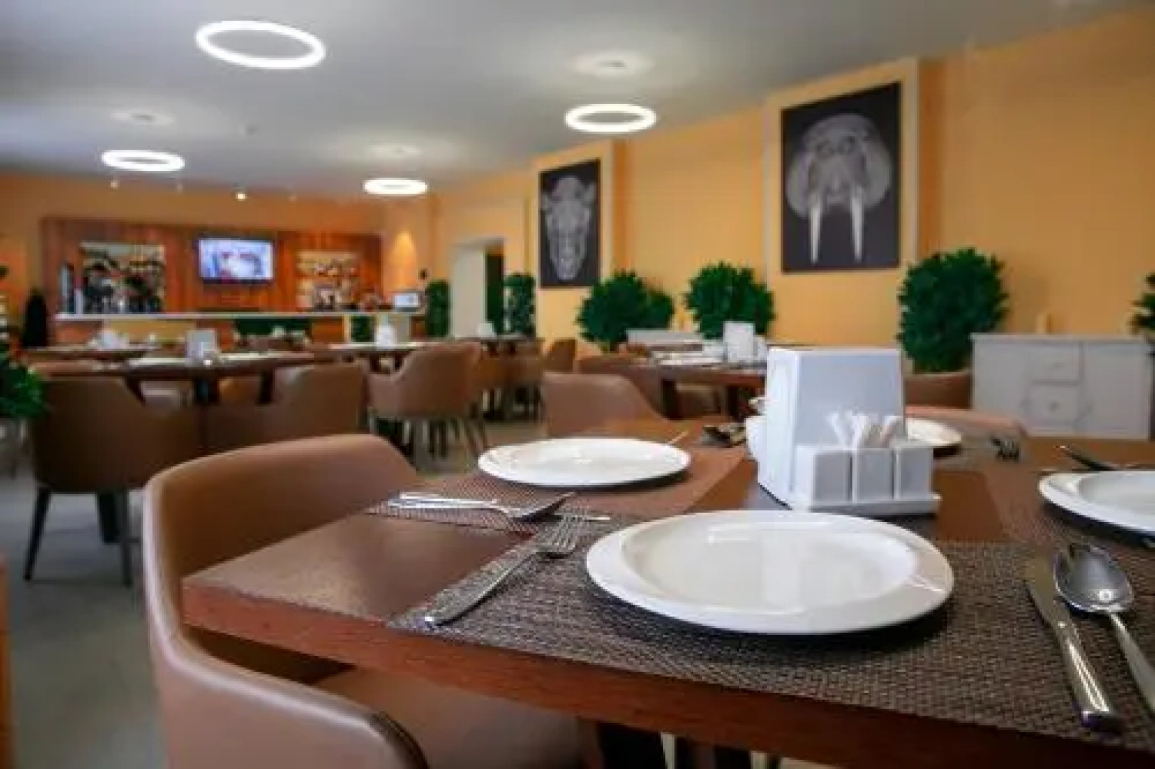 Green Which Tourist Borovoye