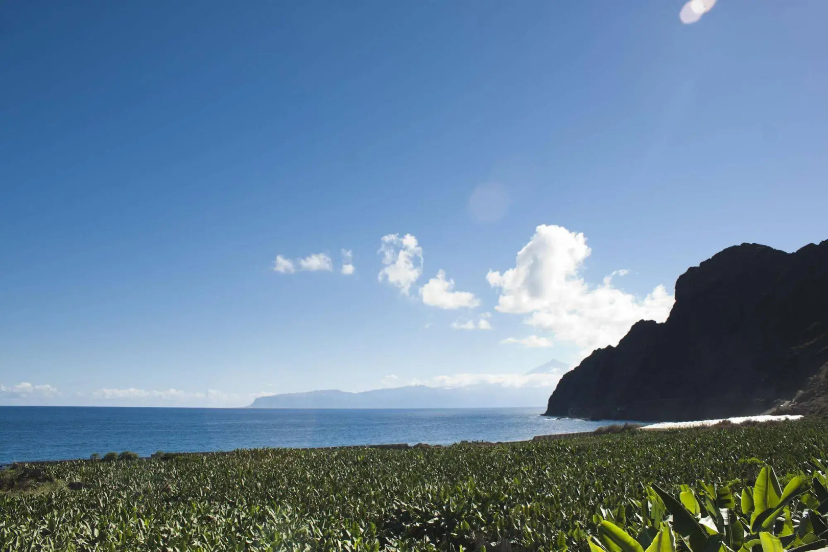 Casa Rural Llano Campo
