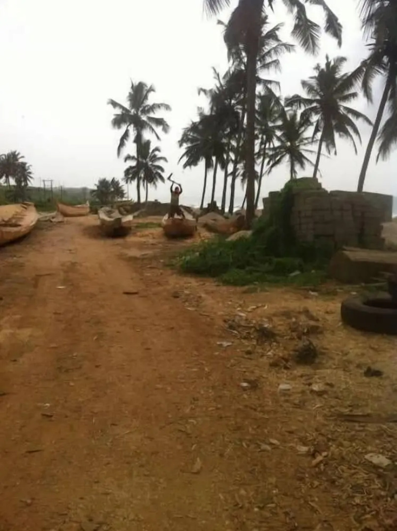 Paradise Ocean Resort