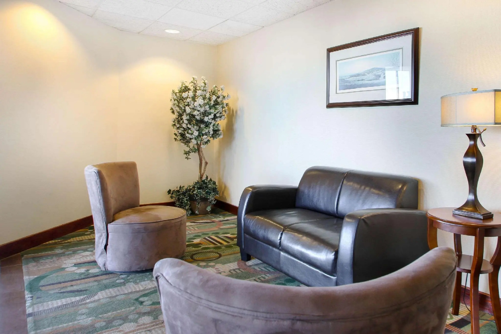 Comfort Inn & Suites