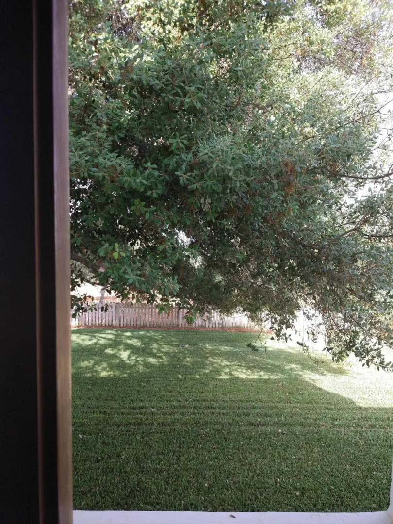 Agroturismo Sa Vinya d'en Palerm