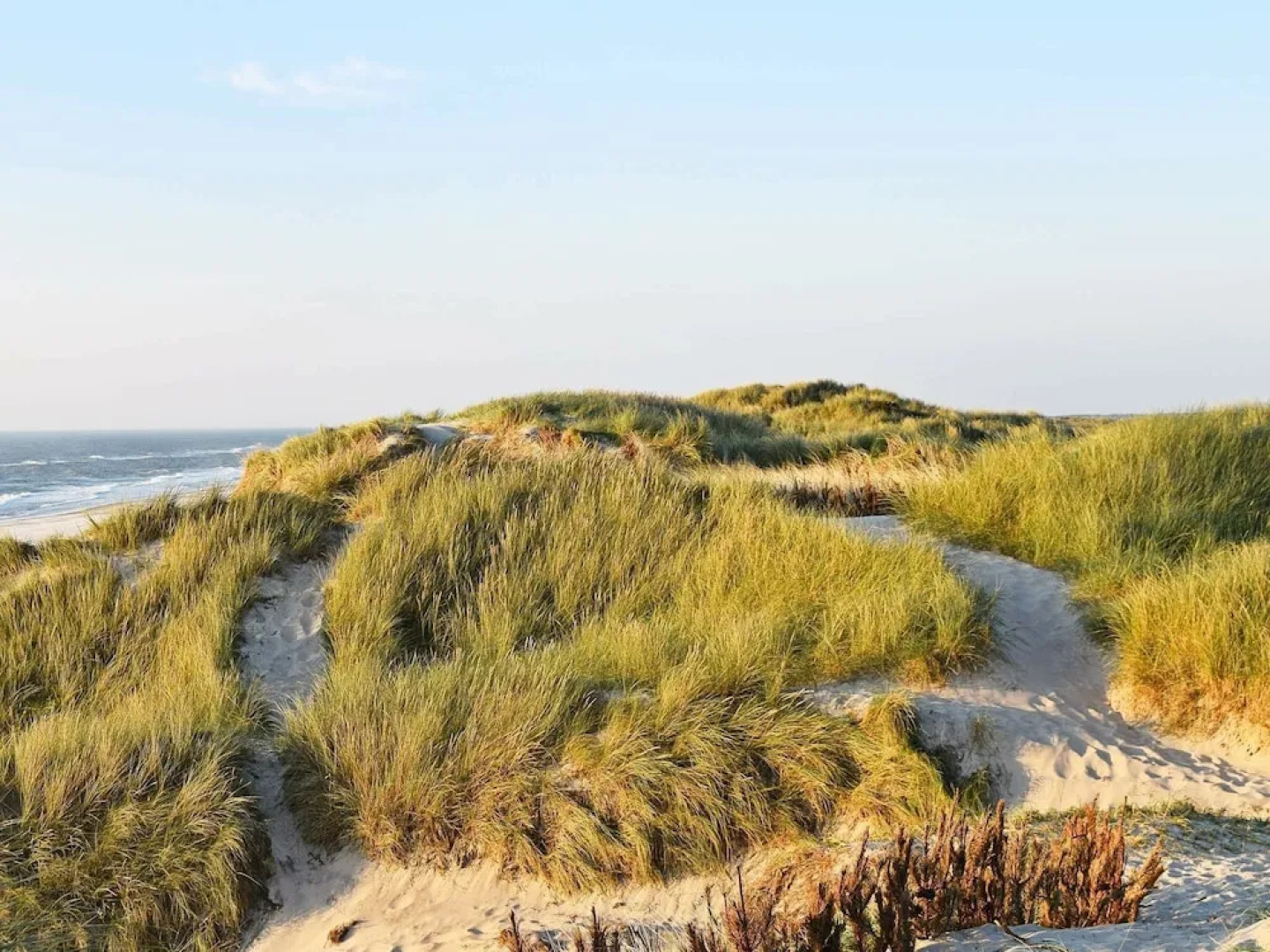 Alluring Holiday Home in Hvide Sande With Sauna