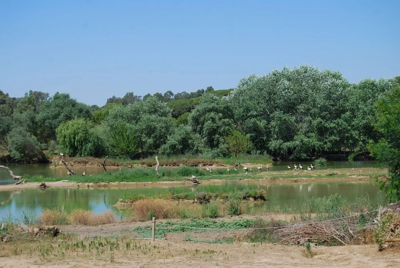 Vivienda Rural el Retorno