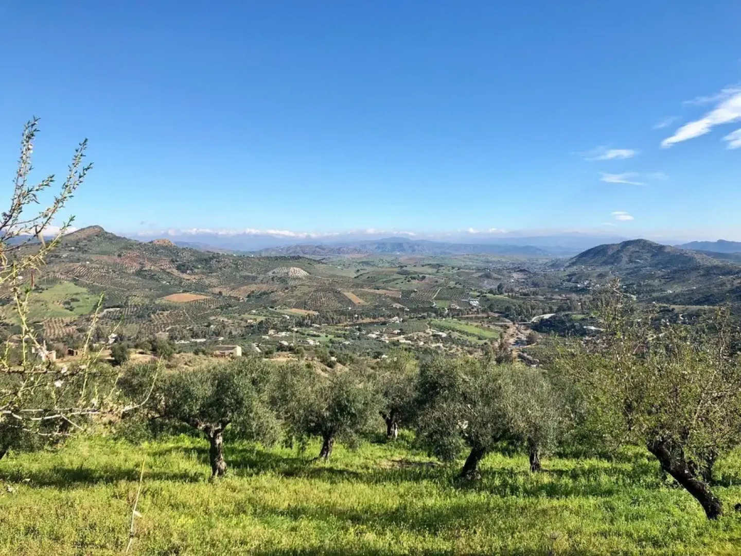 Charming 3-bed House in Guaro, Málaga
