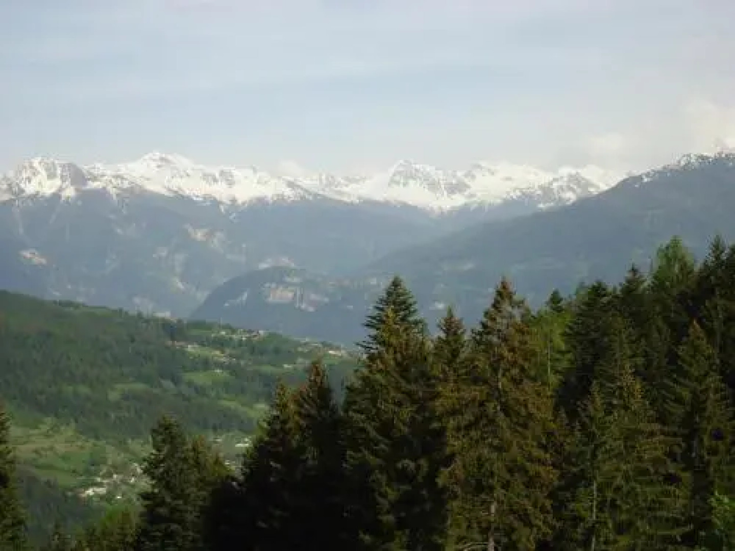 Apartment Cristal 505A