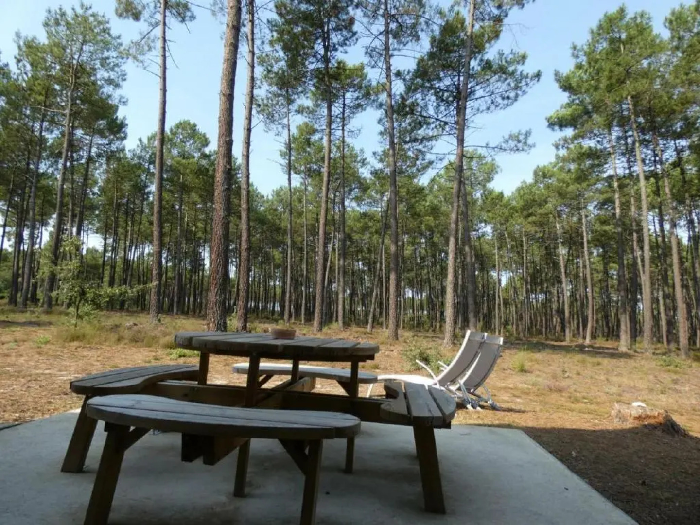 Gite Luxey, 3 pièces, 4 personnes - FR-1-360-171