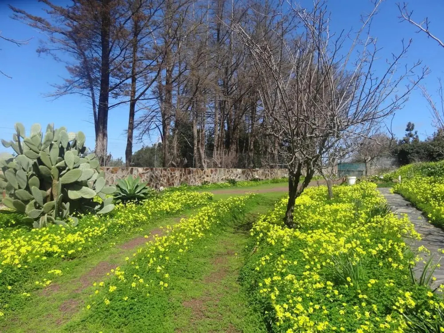 House With one Bedroom in Santa Cruz de Tenerife, With Wifi