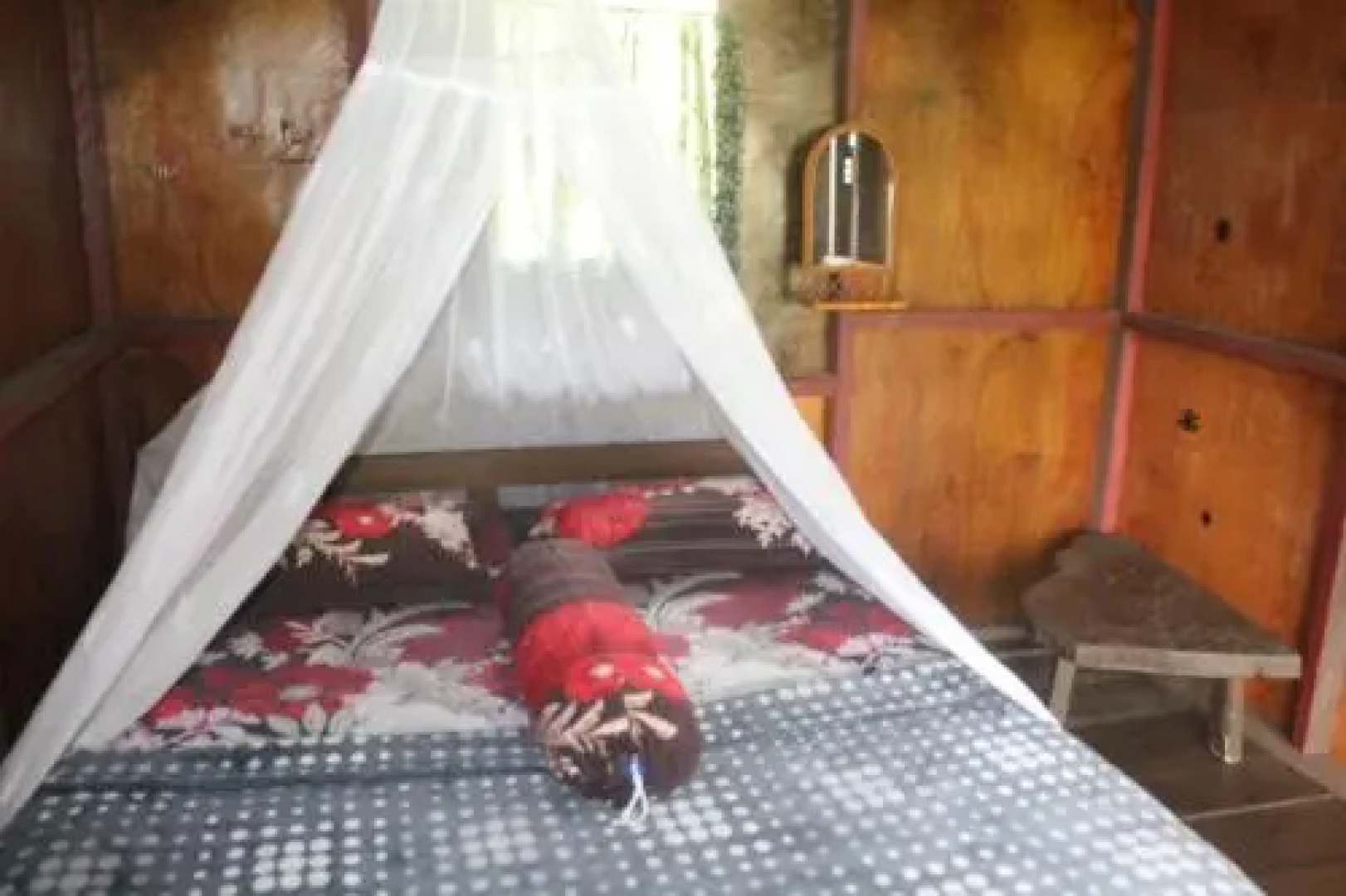 Rain Forest Guest House