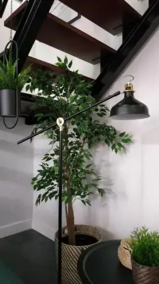 Bartholomeu Guesthouse