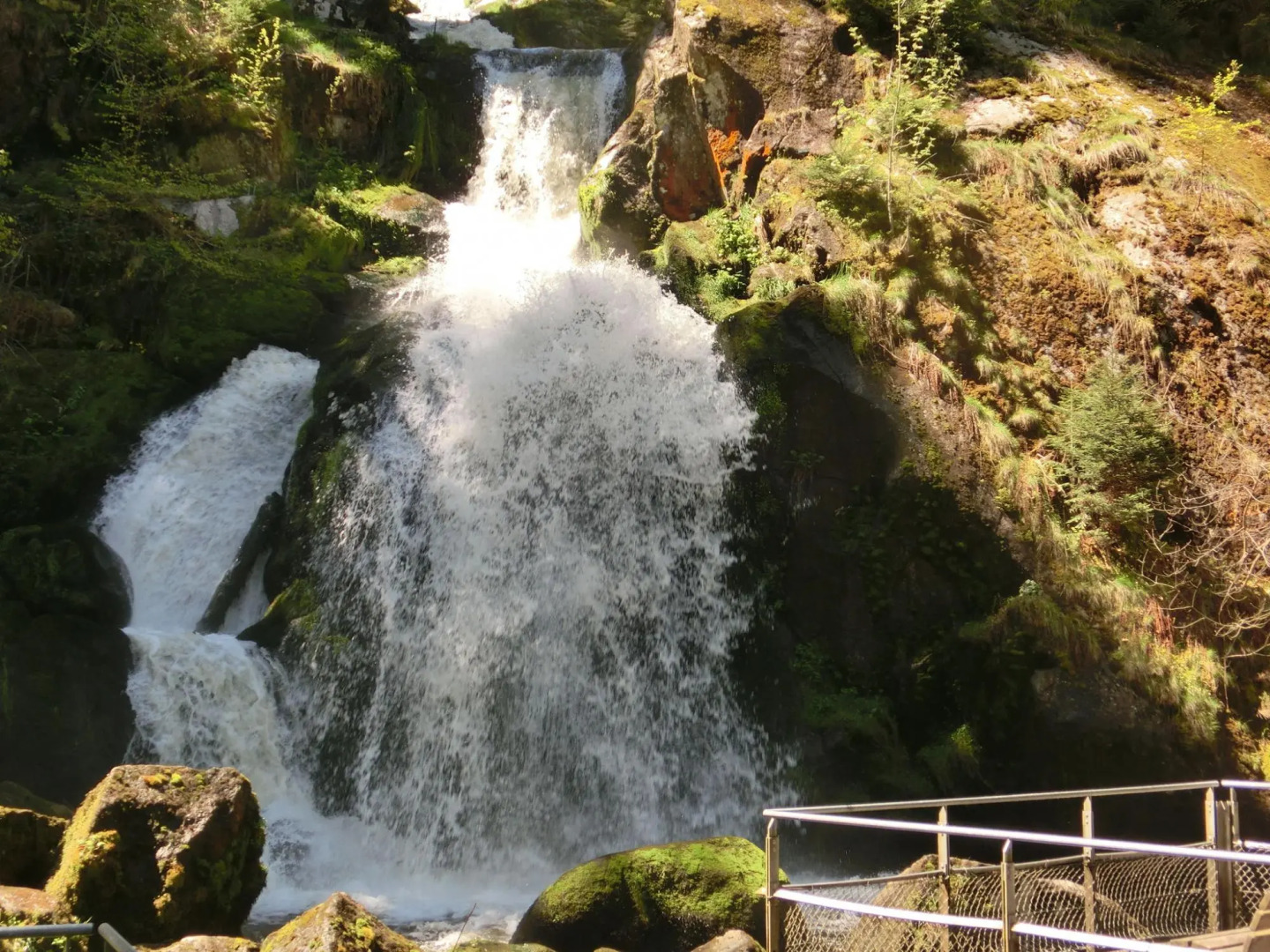 Serene Apartment in Hofstetten with garden amidst luxury of nature