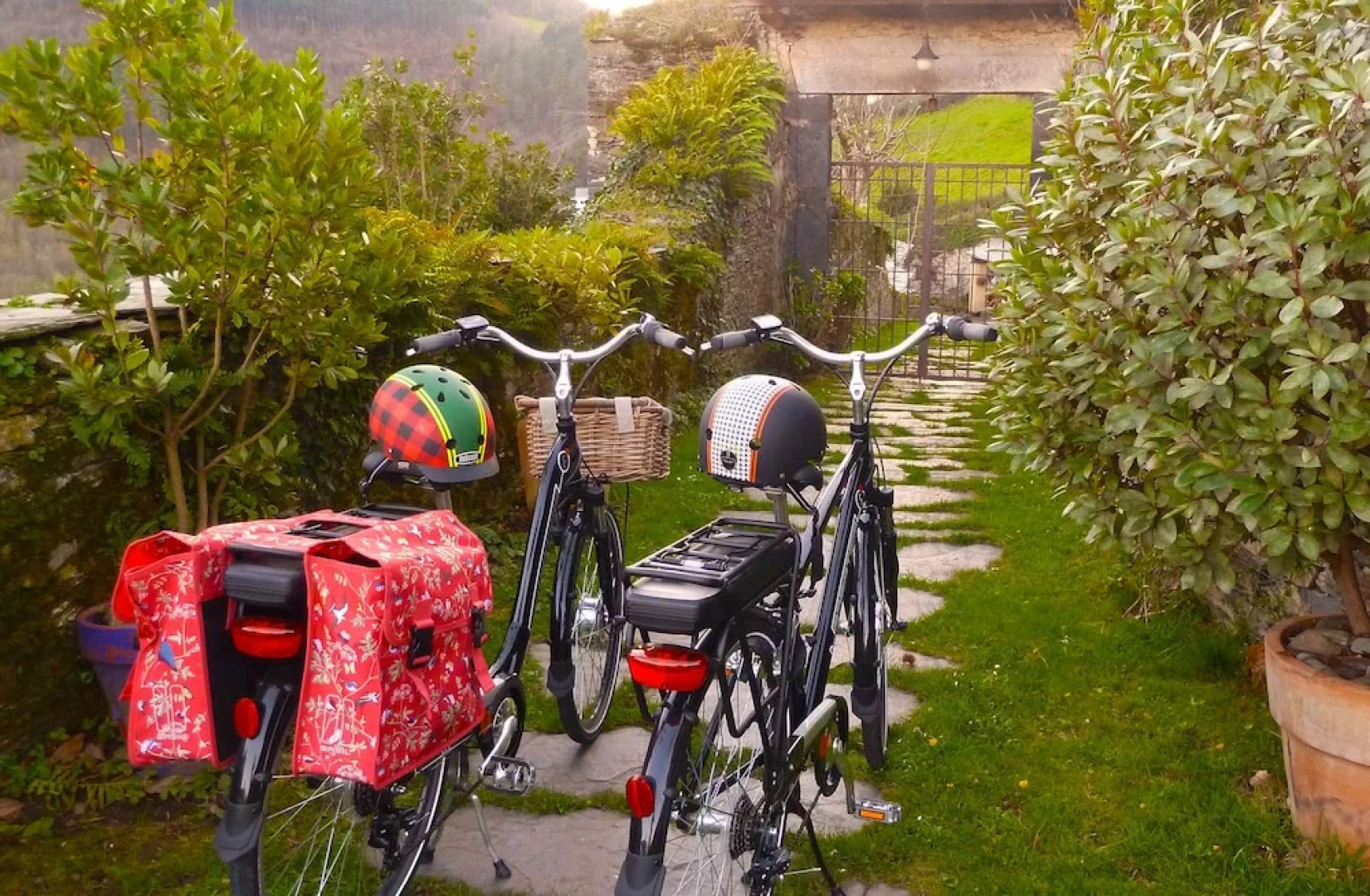 El Bosque de las Viñas