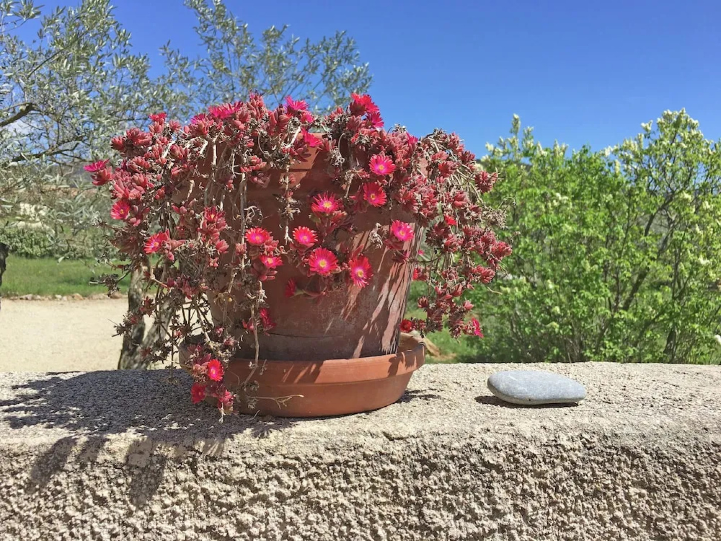 Very attractive detached villa with its own swimming pool