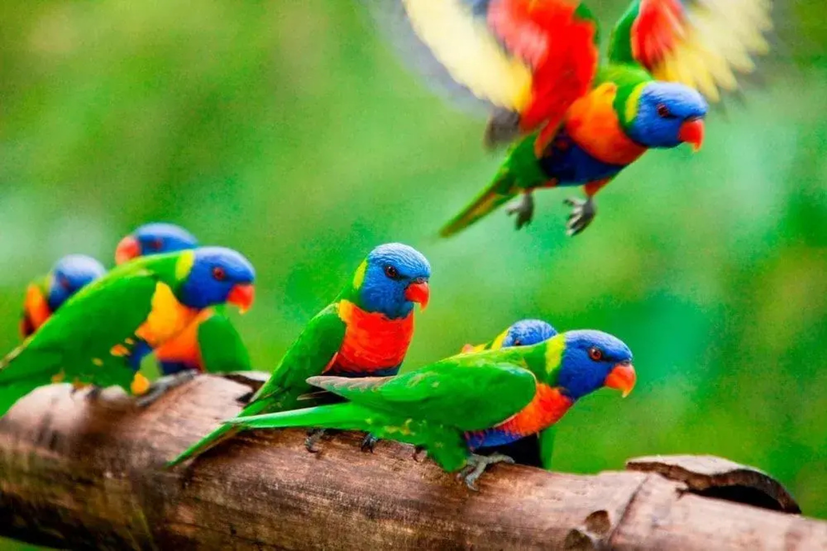 Rose Gums Wilderness Retreat