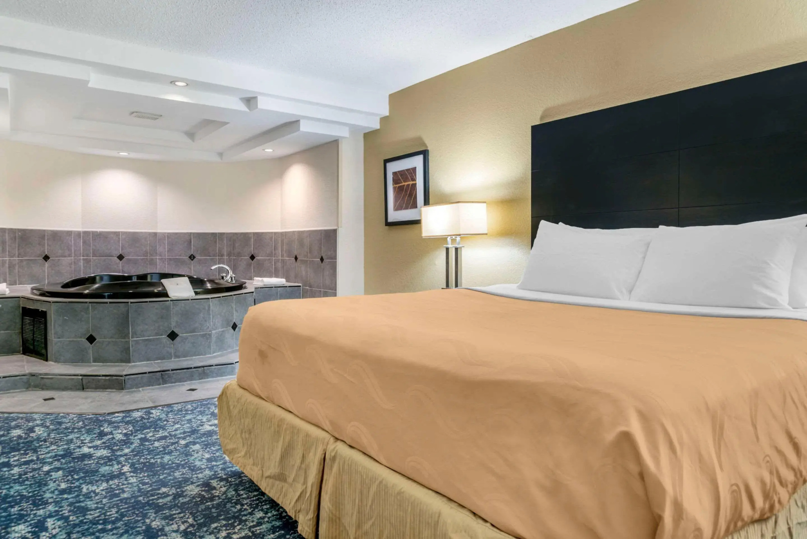 Quality Inn and Suites Livonia