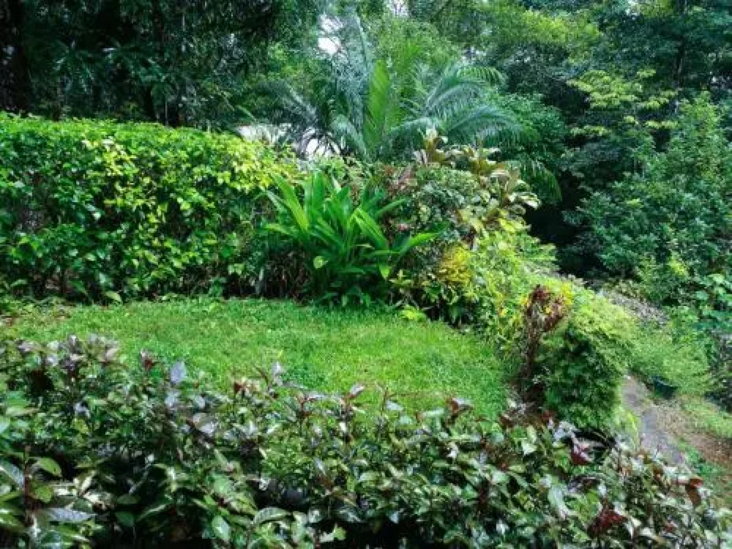 Vista al Mar EL Aleman Lodge