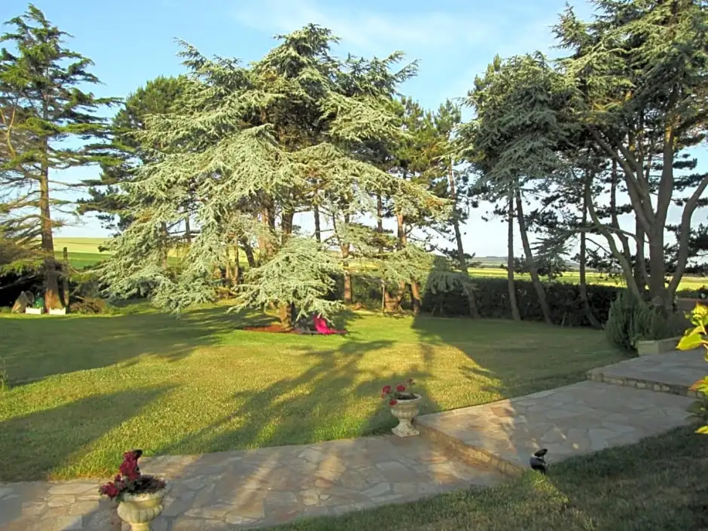 Chambres d'Hôtes "Les Pins"