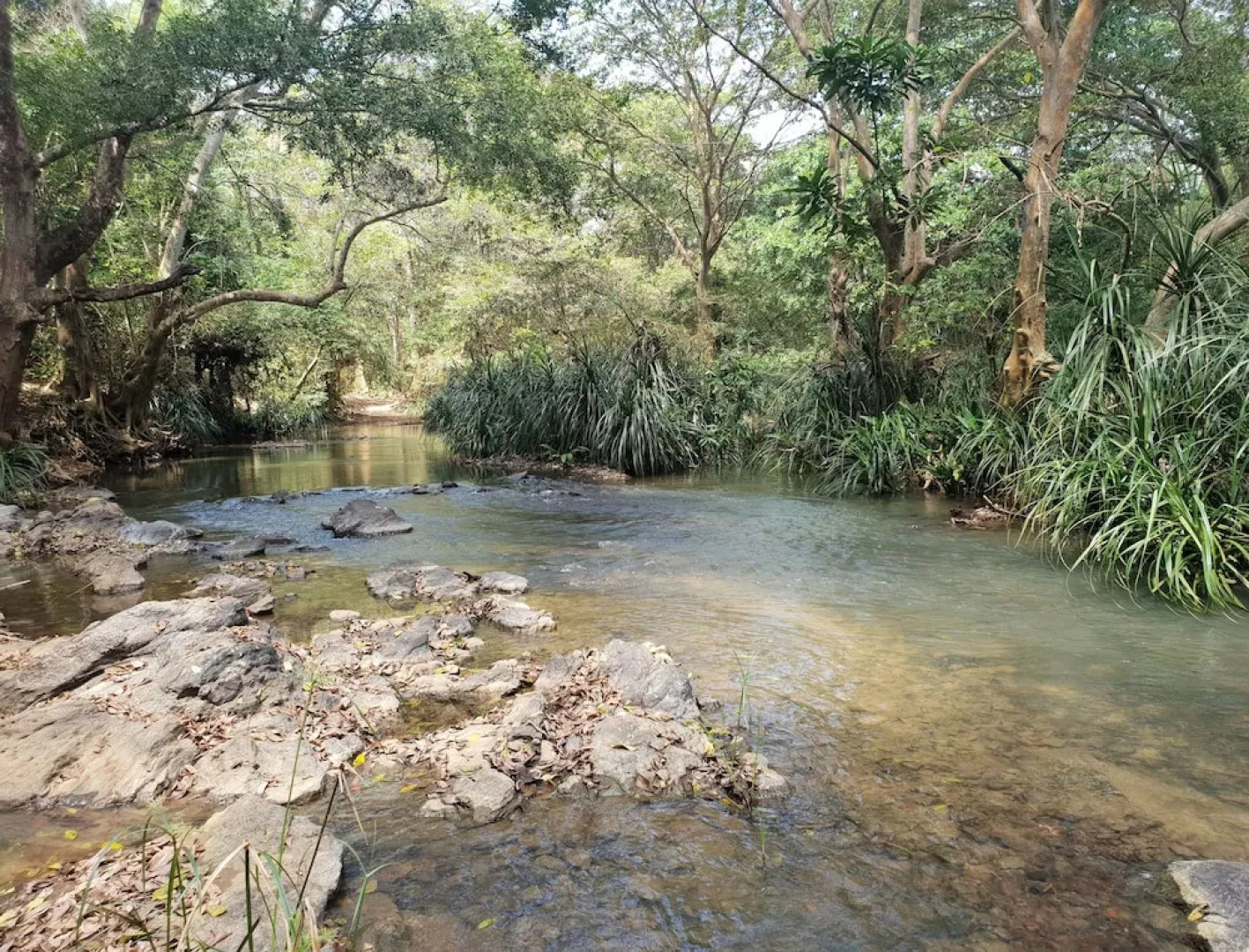 Jungle House Udawalawe Holiday Lodge