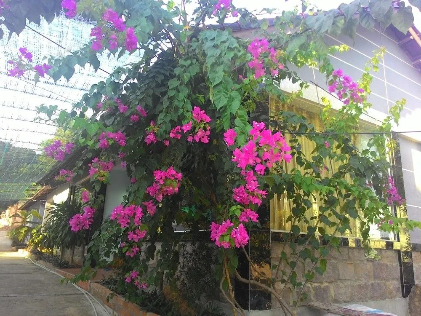 Kim Minh Resort