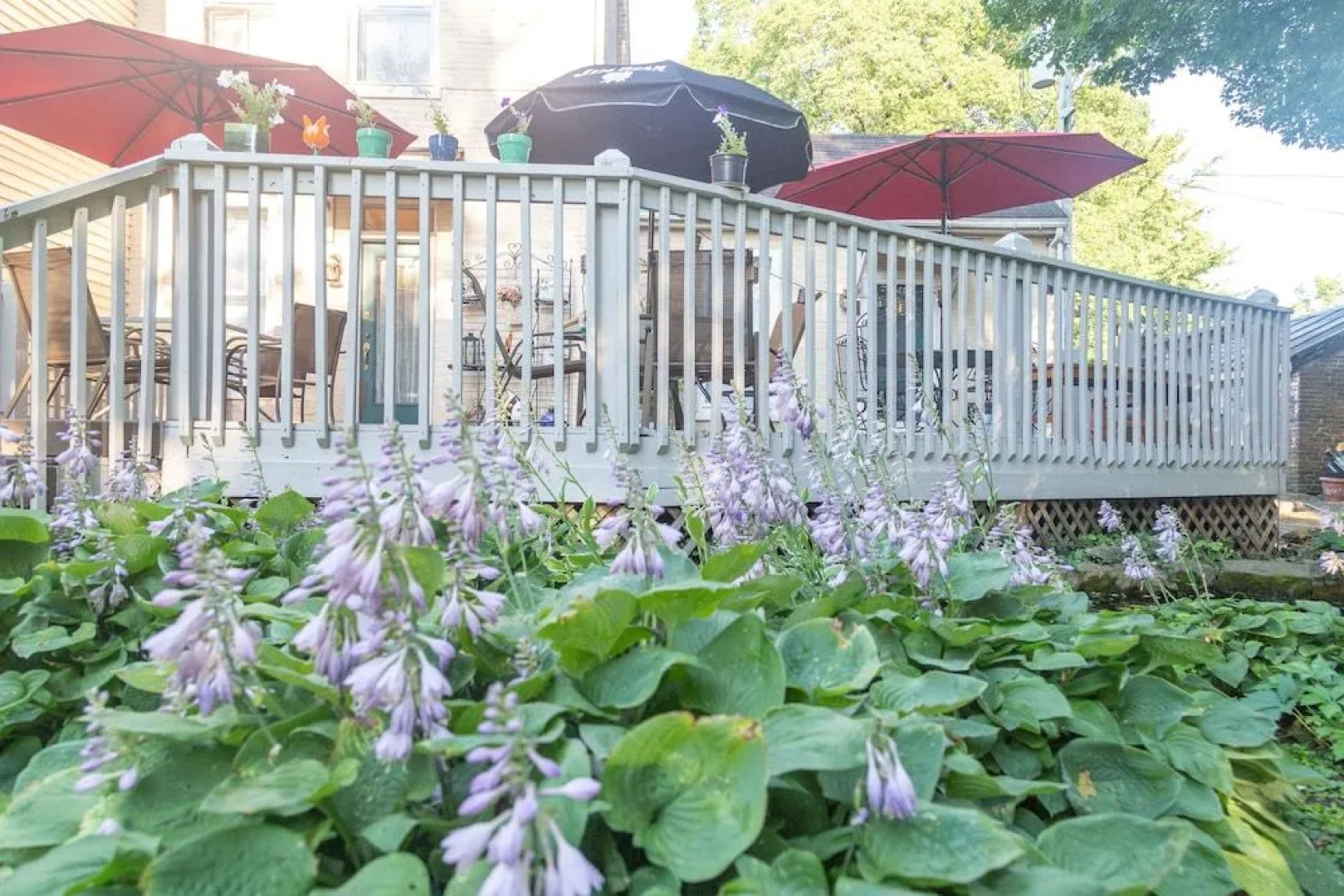 Red Rose Inn Bed & Breakfast