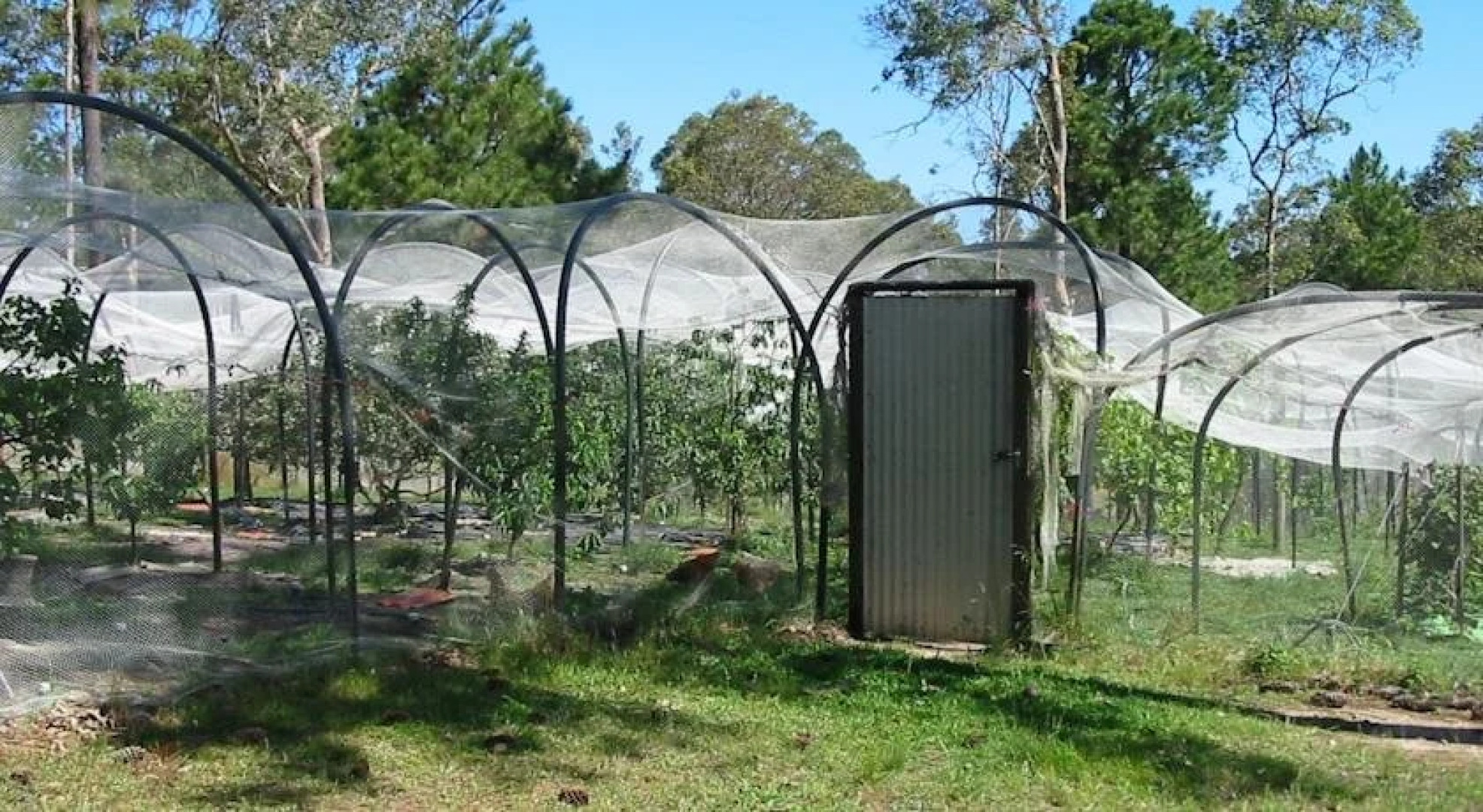 Rural Executive Holiday House @ Lavender Grove Farm