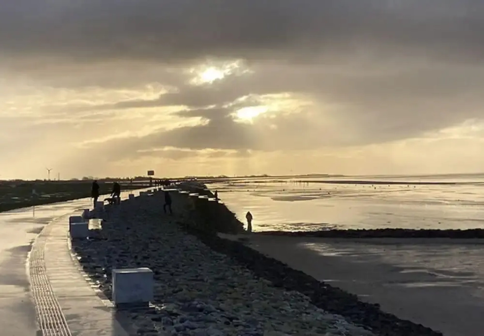 Dandelion Modern Retreat