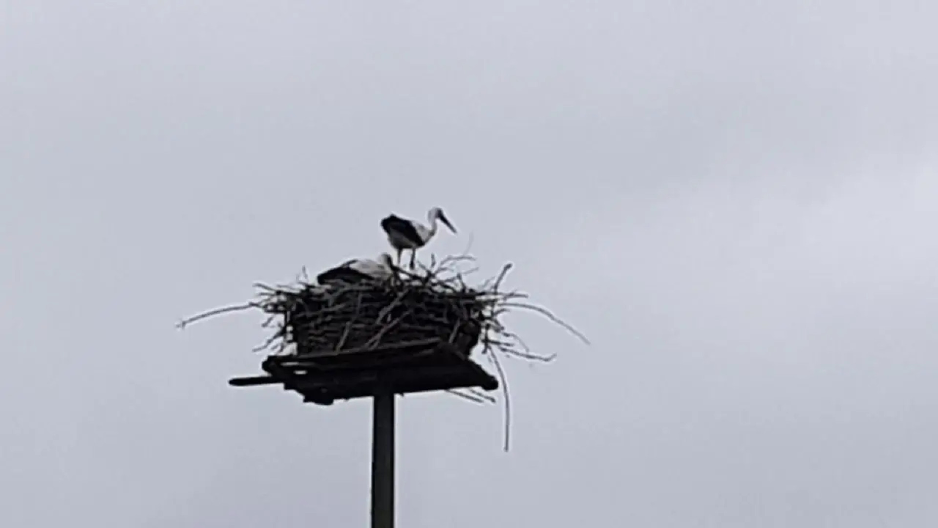 Ruhige Ferienwohnung direkt am Nord-Ostsee-Kanal