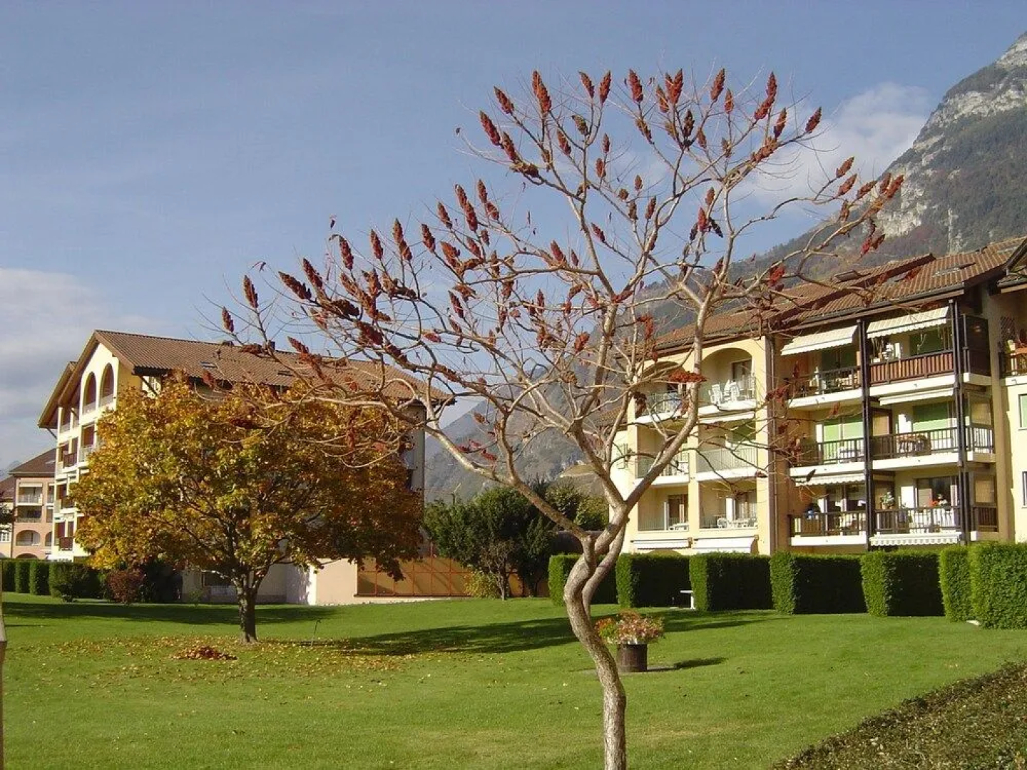 Saillon Evasion Tilleuls 2