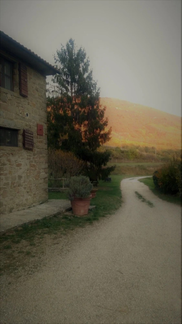 Exclusive Apartment With Fireplace