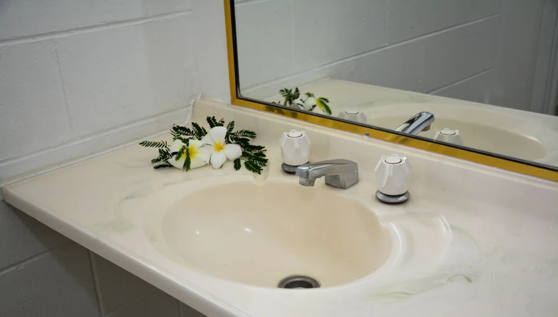 Base Backpackers Airlie Beach Resort