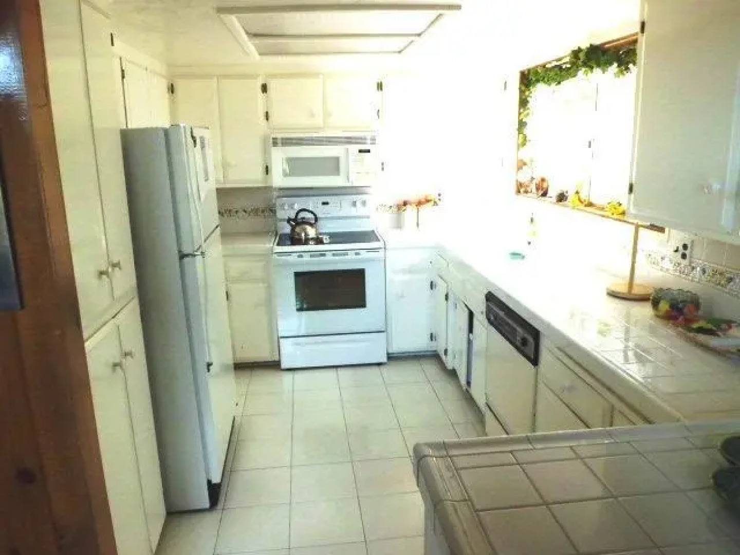 Yellowstone Drive House