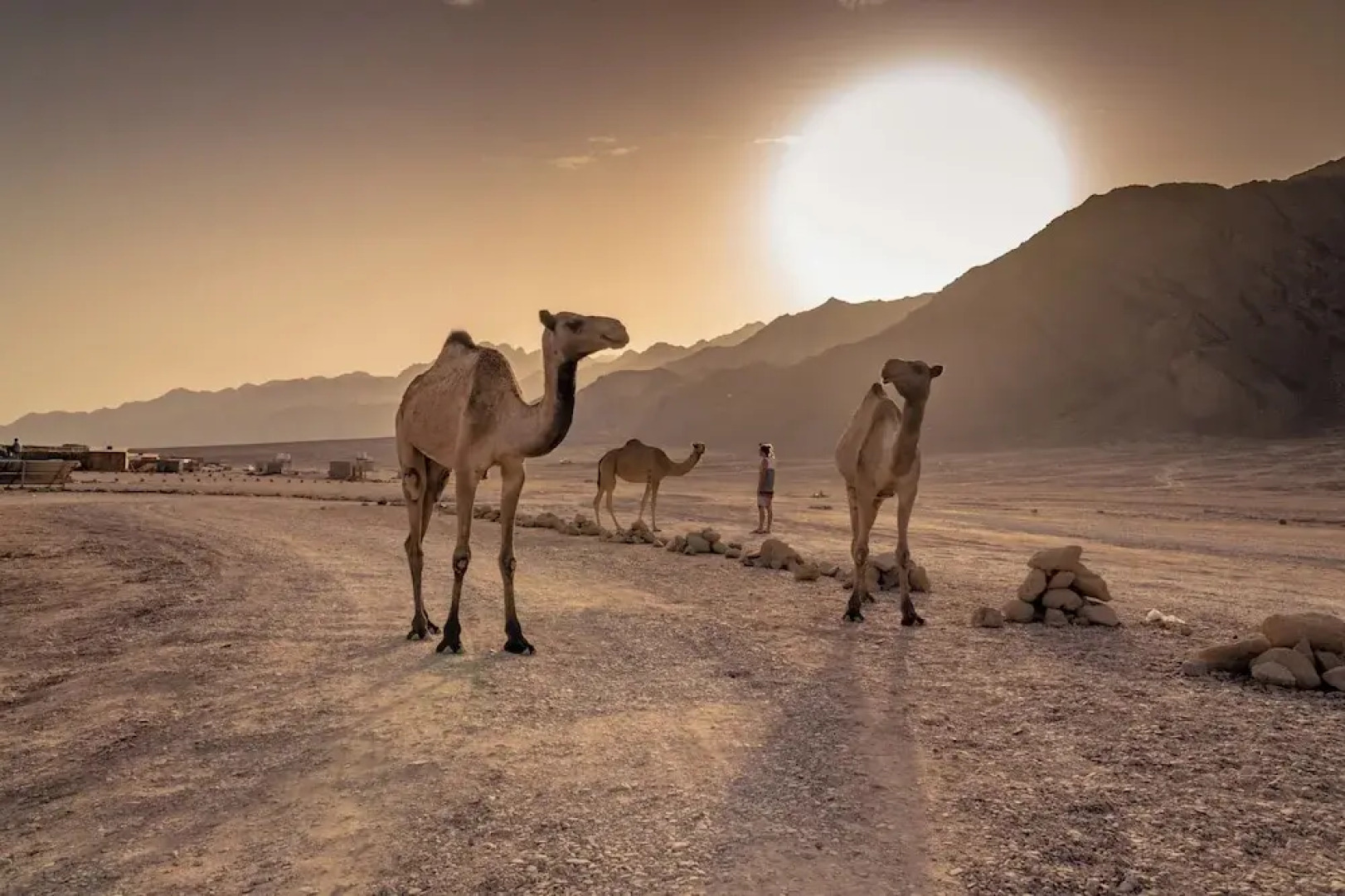 Surfers Lounge Dahab Lagoon