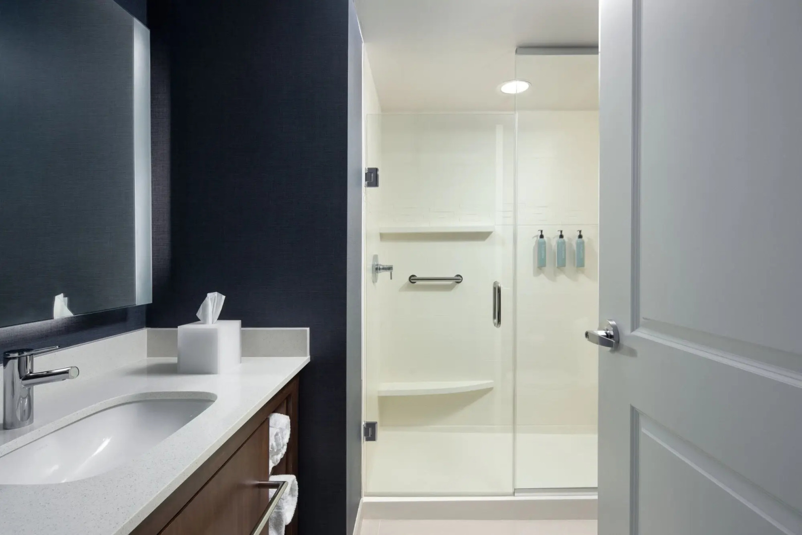 Residence Inn by Marriott Tampa Wesley Chapel