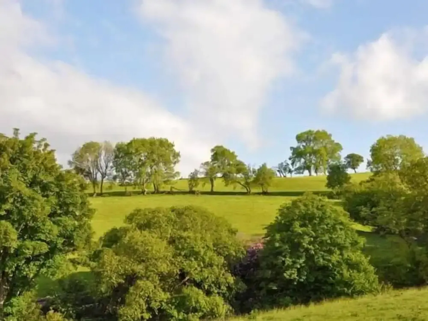 Hendre Aled Cottage 3