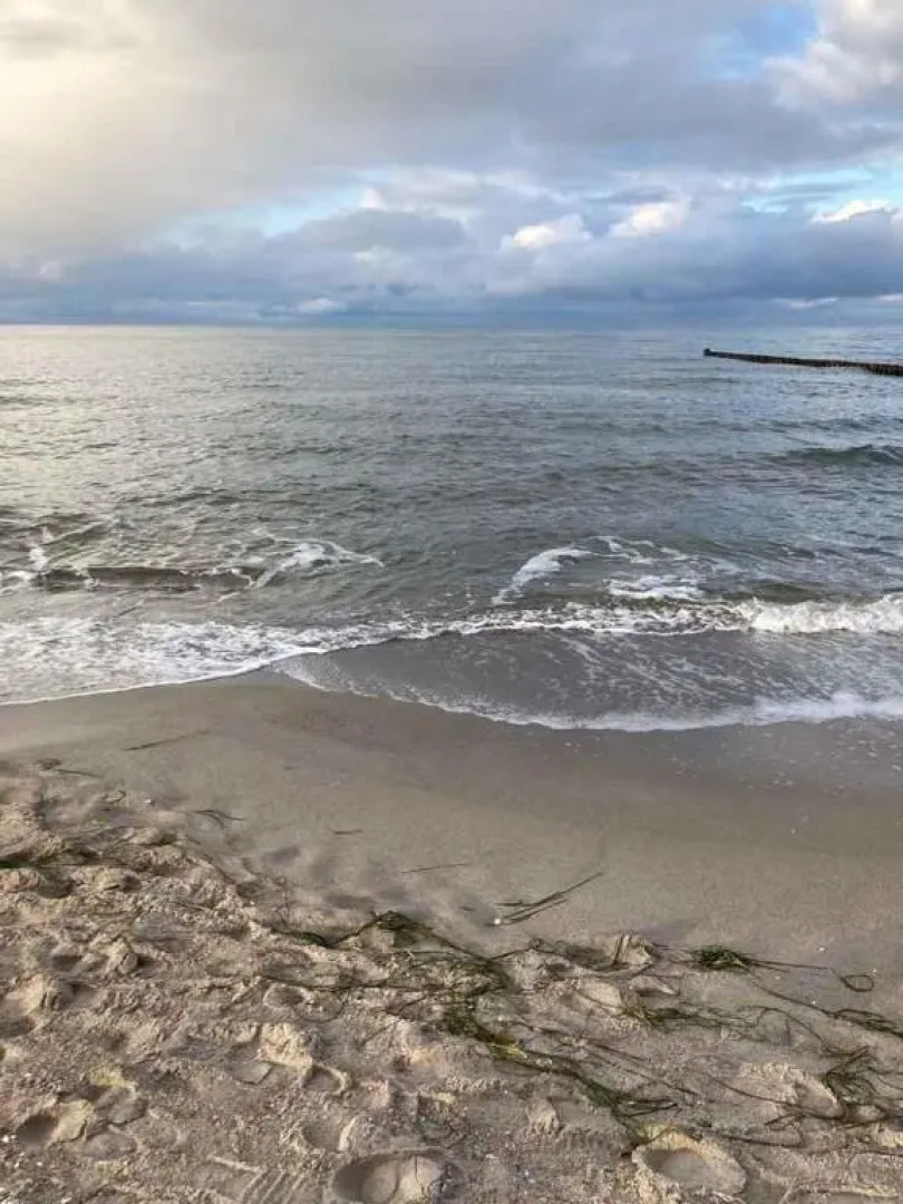 Apartment in Pruchten 41178