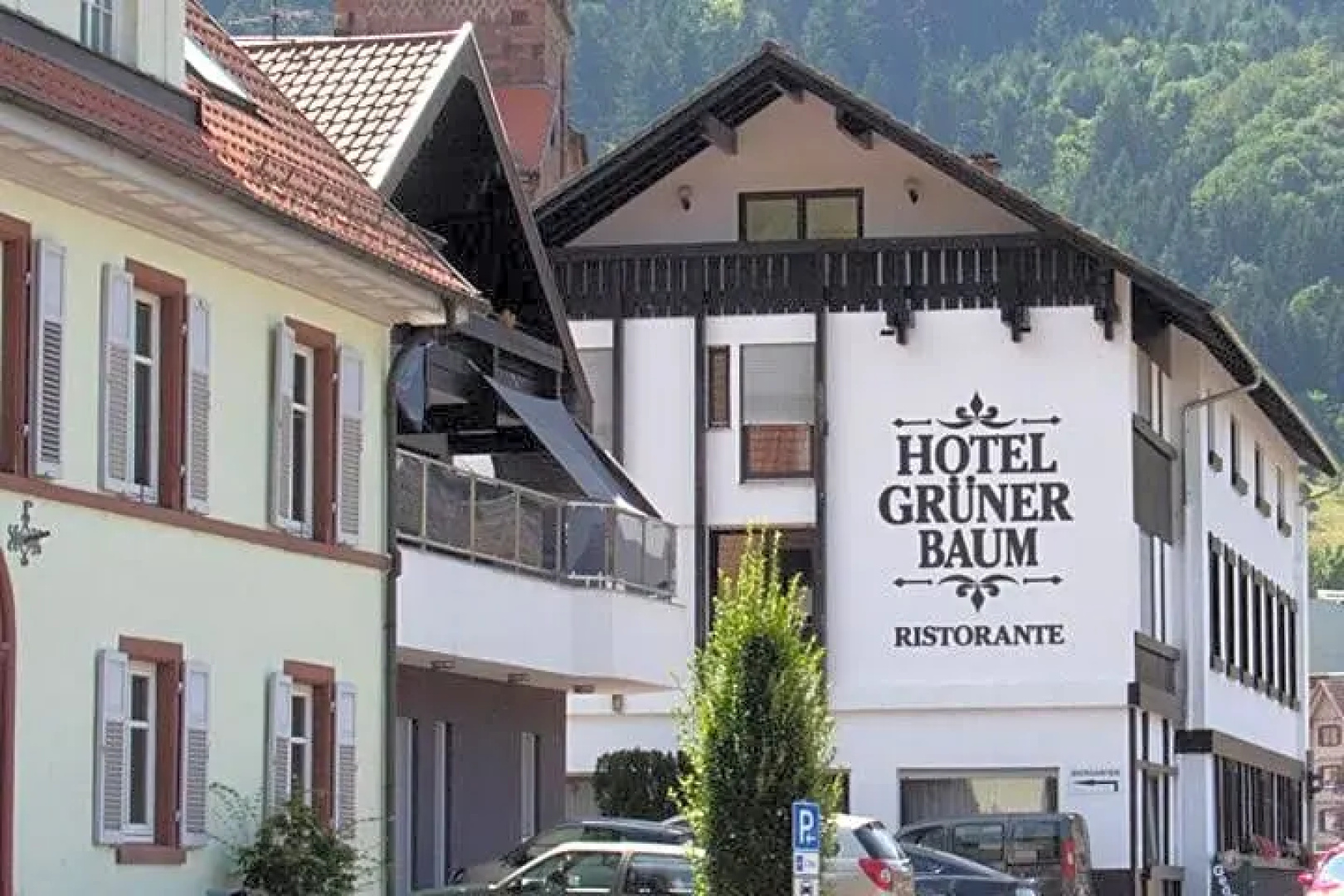Grüner Baum