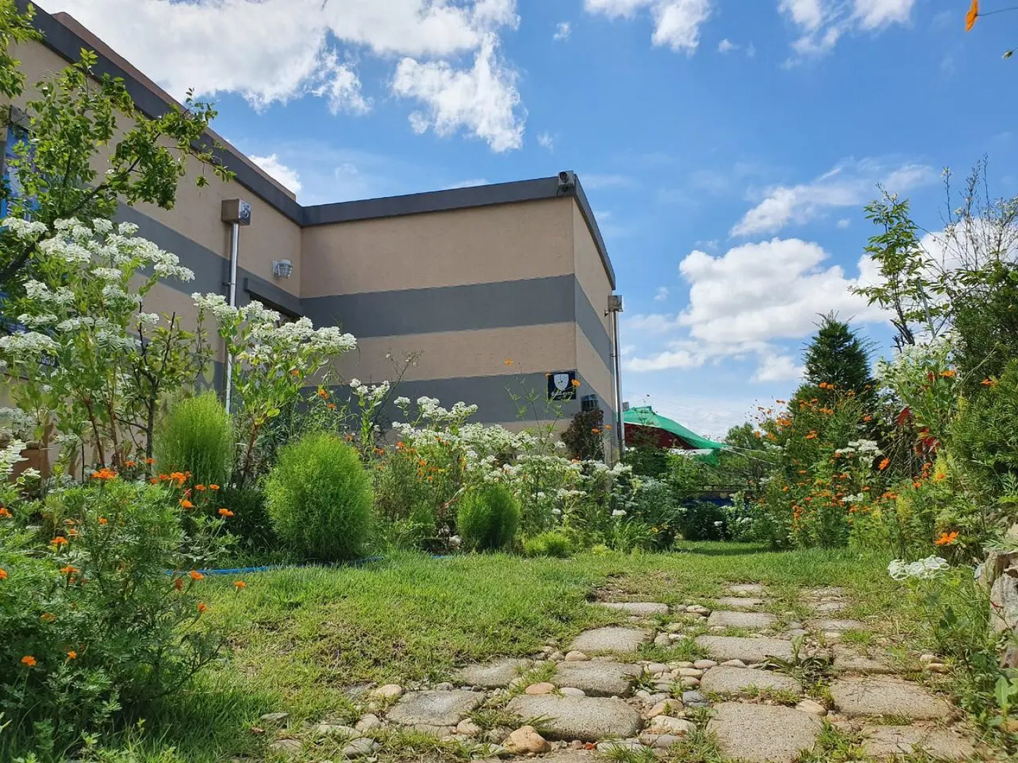 yeonceon jjongiwameri