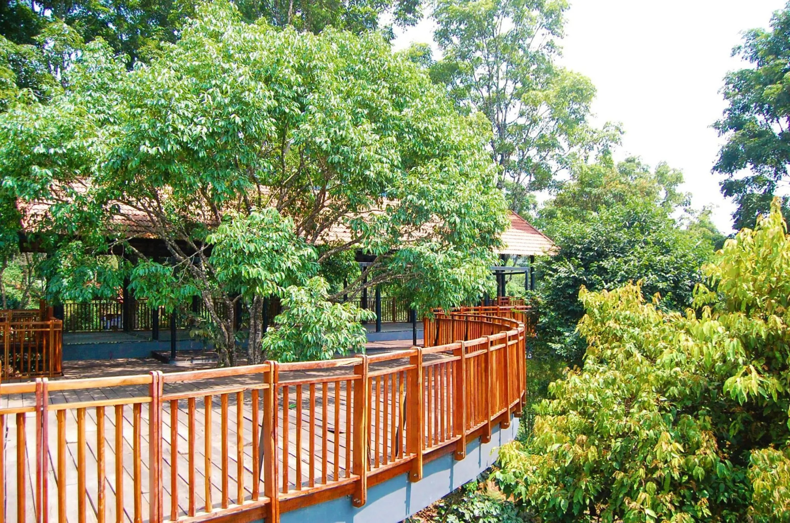Vythiri Mist Resort