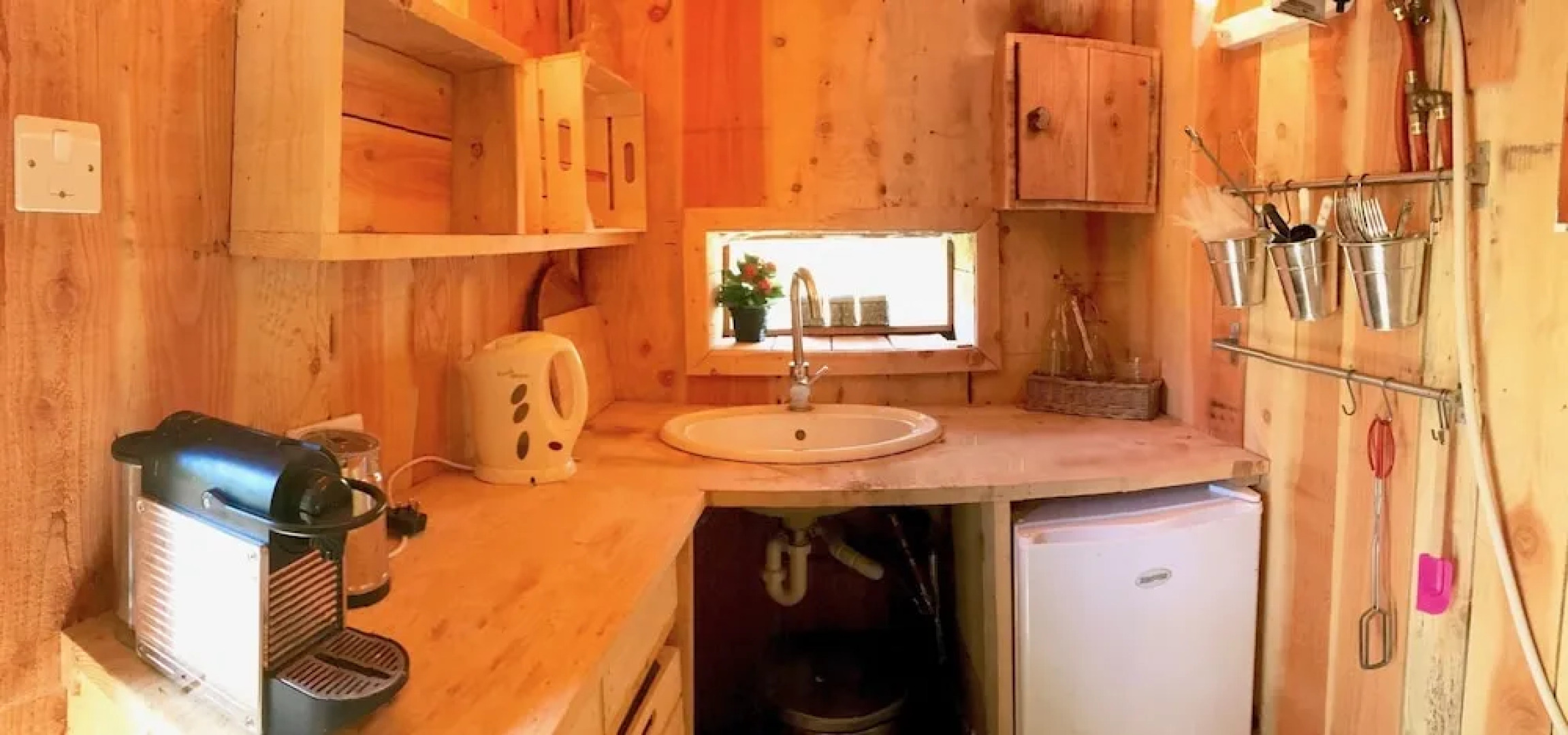 Wild Boar Mountain - France